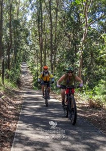 Faites du trekking ou du vélo dans le parc national de Bach Ma